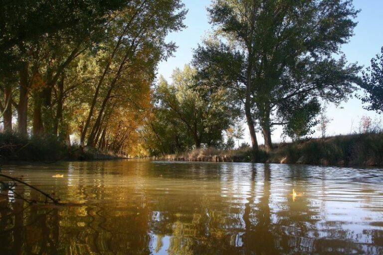 Canal de Castilla en Medina de Rioseco en otoño al atardecer