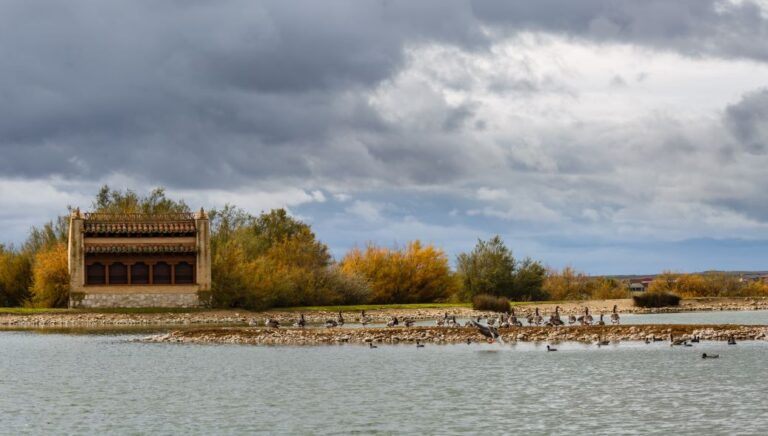 Lagunas de Villafáfila en un día nublado con un mirador de aves al fondo y aves acuáticas en la laguna